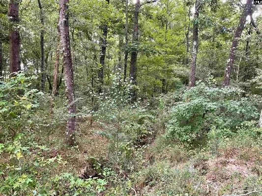 $349,000 | 3551 Moonlight Road, Williston, SC 29853