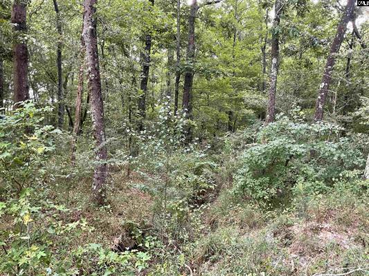 3551 Moonlight Road Williston, SC 29853 - Photo 11 of 16 3551 15