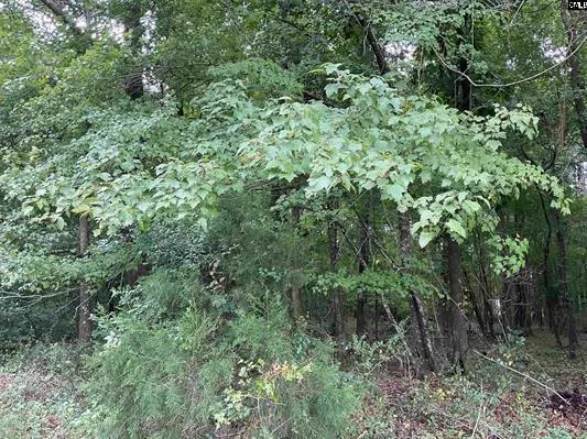 $349,000 | 3551 Moonlight Road, Williston, SC 29853