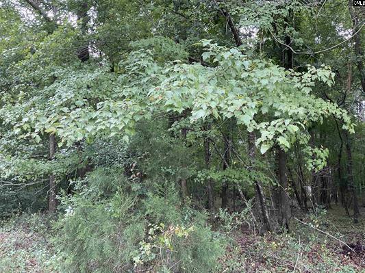 3551 Moonlight Road Williston, SC 29853 - Photo 12 of 16 3551 16