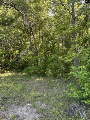 3551 Moonlight Road Williston, SC 29853 - Photo 13 of 16 3551 20