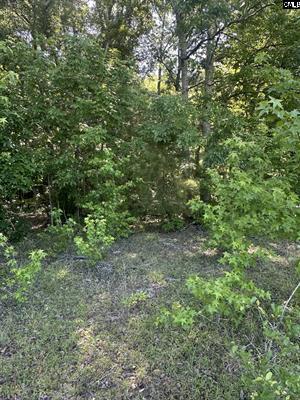 3551 Moonlight Road Williston, SC 29853 - Photo 14 of 16 3551 21