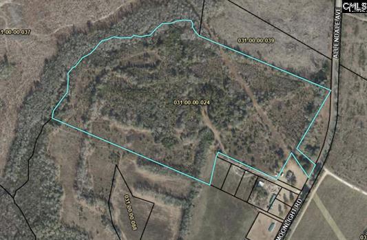 3551 Moonlight Road Williston, SC 29853 - Photo 16 of 16 3551 aerial zoomed