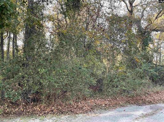 3551 Moonlight Road Williston, SC 29853 - Photo 2 of 16 3551 Moonlight Rd 2