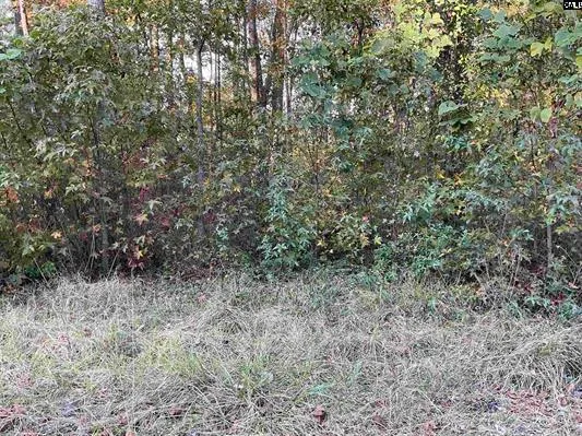 $349,000 | 3551 Moonlight Road, Williston, SC 29853