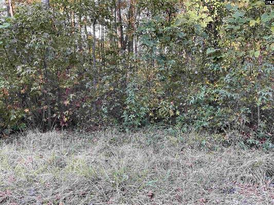 3551 Moonlight Road Williston, SC 29853 - Photo 3 of 16 3551 Moonlight 3