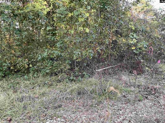 3551 Moonlight Road Williston, SC 29853 - Photo 4 of 16 3551 4