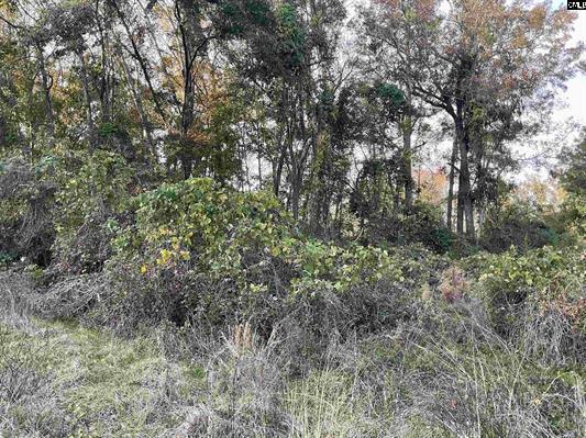 3551 Moonlight Road Williston, SC 29853 - Photo 5 of 16 3551 5