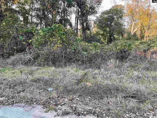 $349,000 | 3551 Moonlight Road, Williston, SC 29853