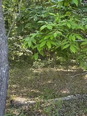 $349,000 | 3551 Moonlight Road, Williston, SC 29853