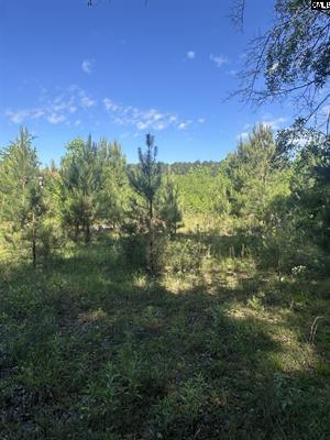 3551 Moonlight Road Williston, SC 29853 - Photo 8 of 16 3551 2