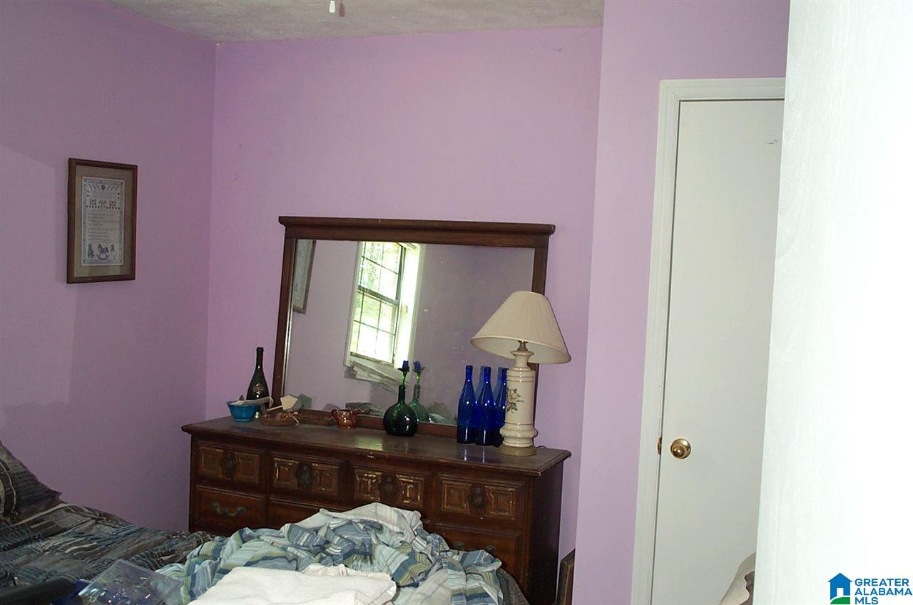 3371 County Road 3 Delta, AL 36258 - Photo 25 of 27