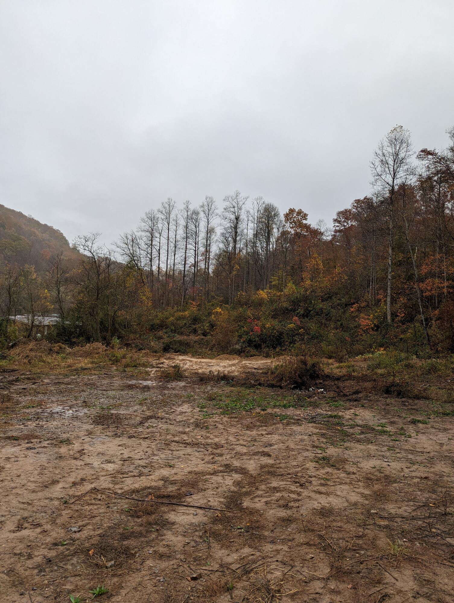 1128 Left Poor Valley Road Pennington Gap, VA 24277 - Photo 22 of 30 PXL_20231030_180212247