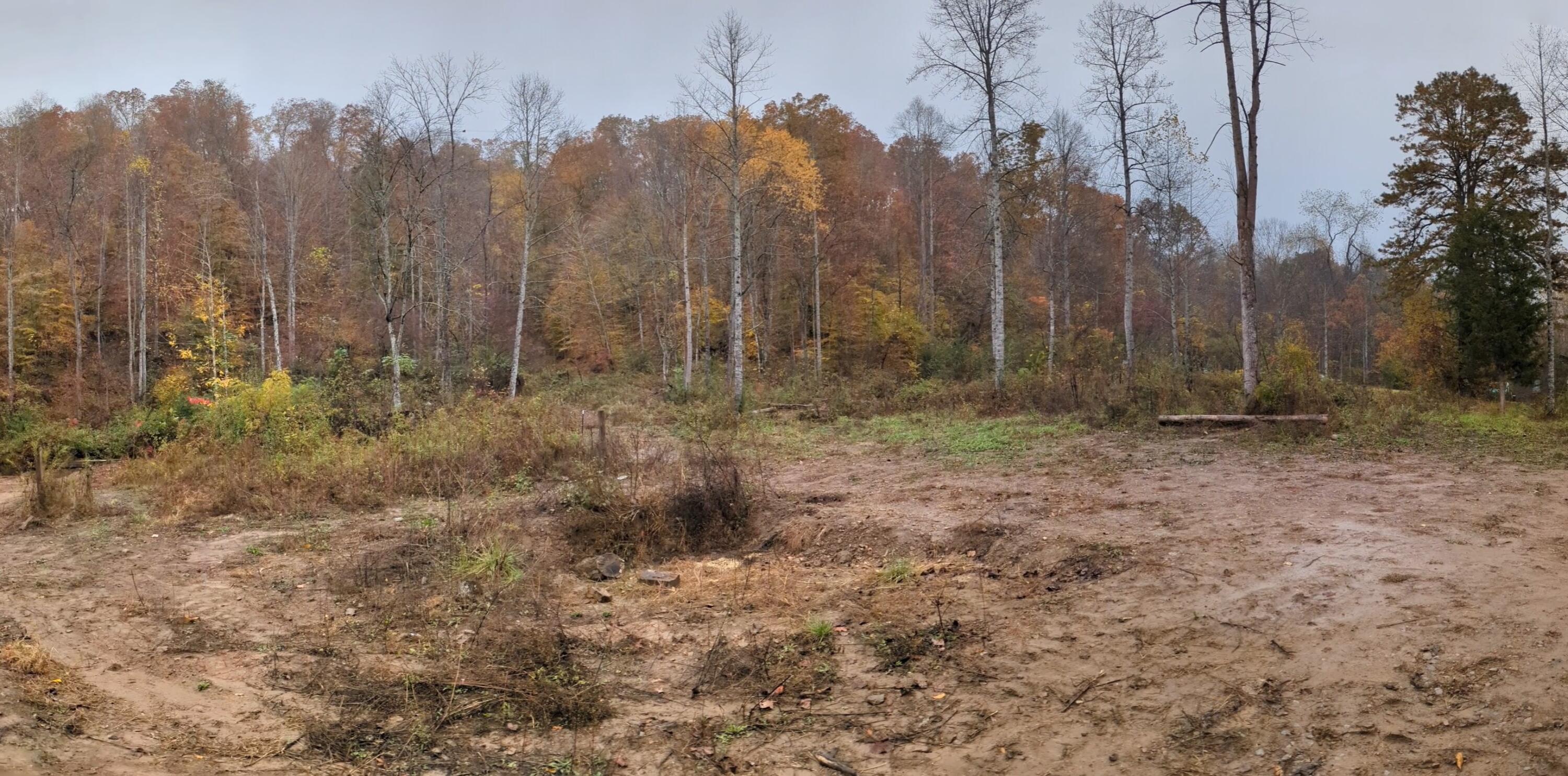 1128 Left Poor Valley Road Pennington Gap, VA 24277 - Photo 23 of 30 PXL_20231030_180157533.PANO