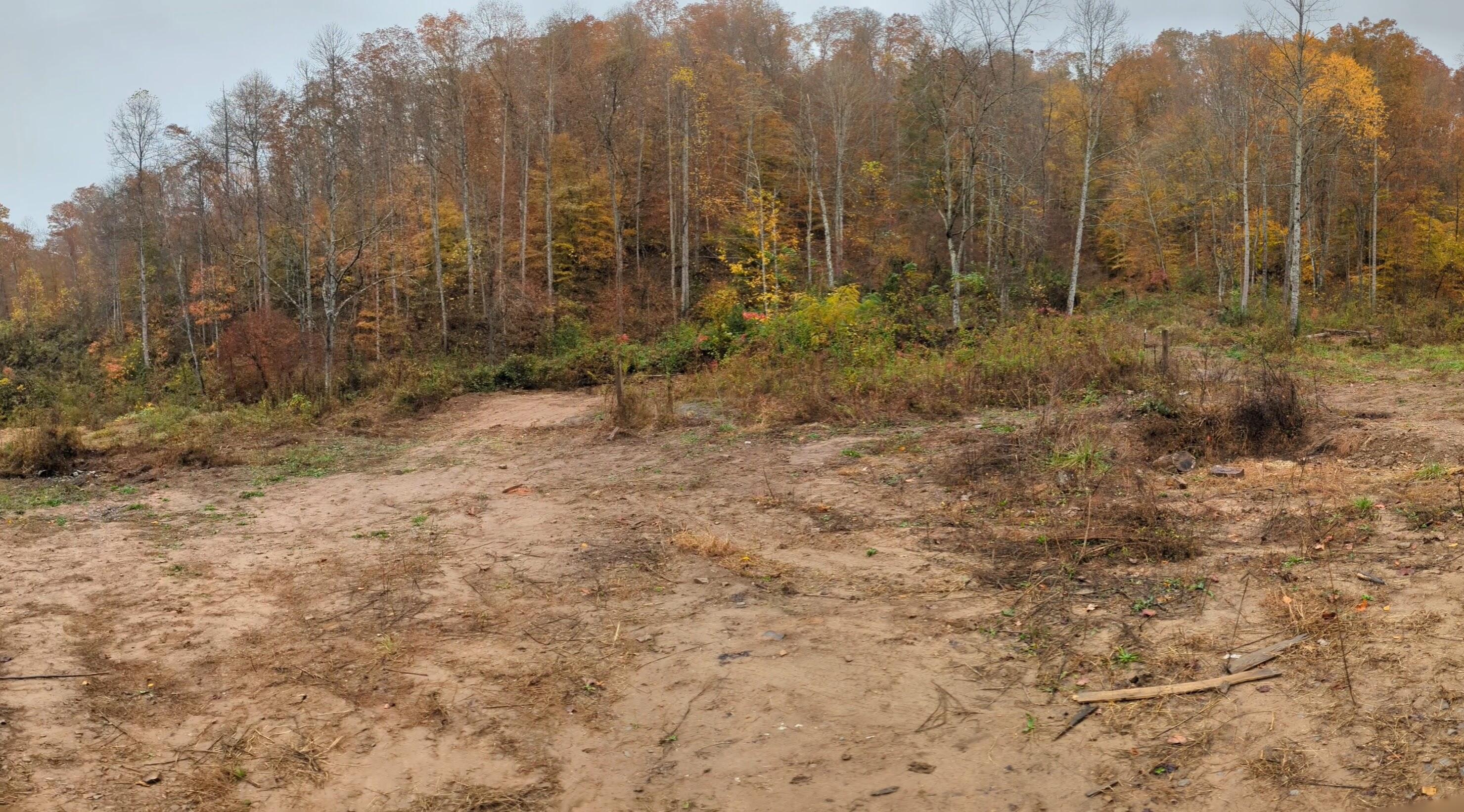 1128 Left Poor Valley Road Pennington Gap, VA 24277 - Photo 24 of 30 PXL_20231030_175832237.PANO