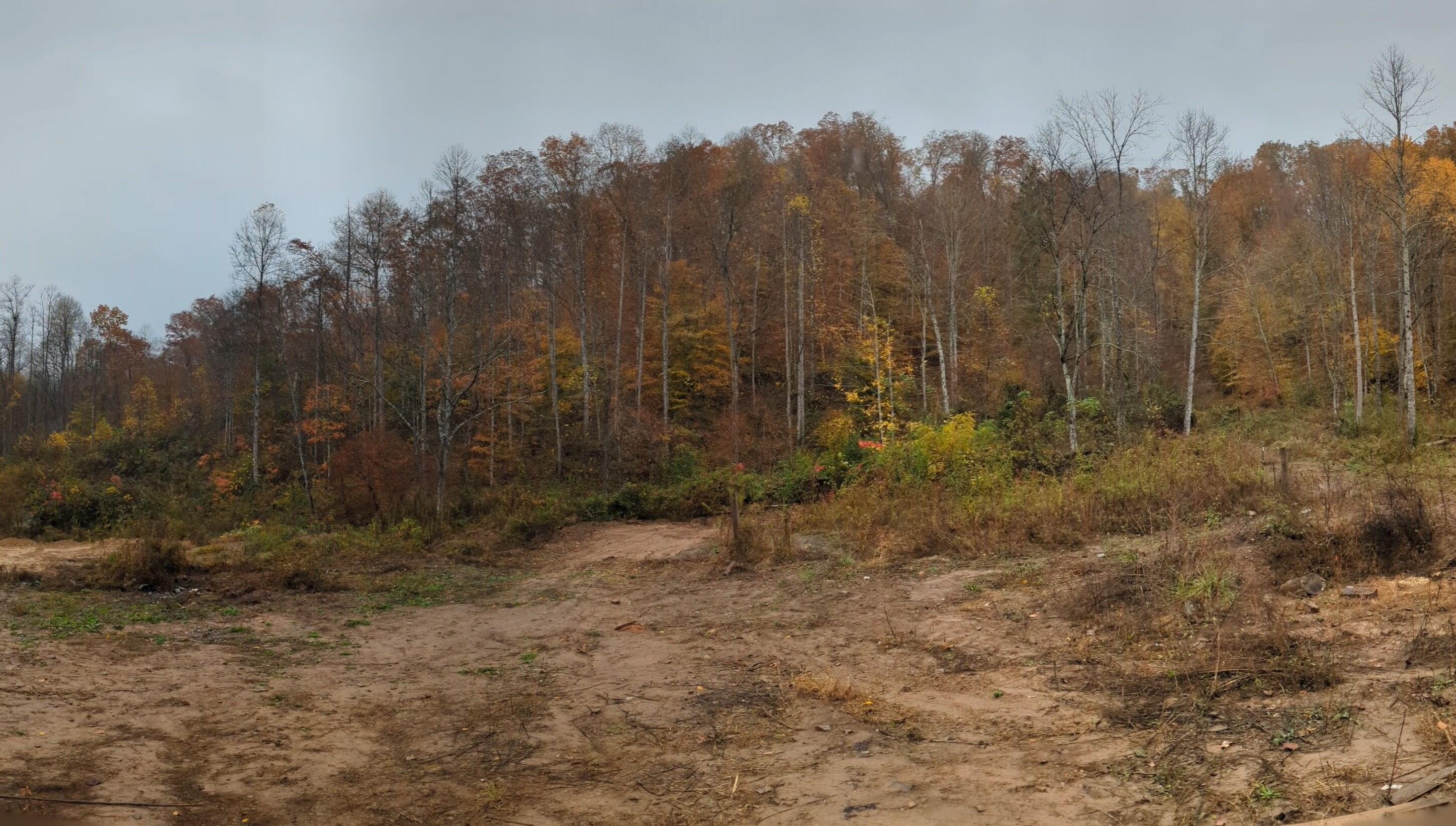 1128 Left Poor Valley Road Pennington Gap, VA 24277 - Photo 25 of 30 PXL_20231030_175841112.PANO