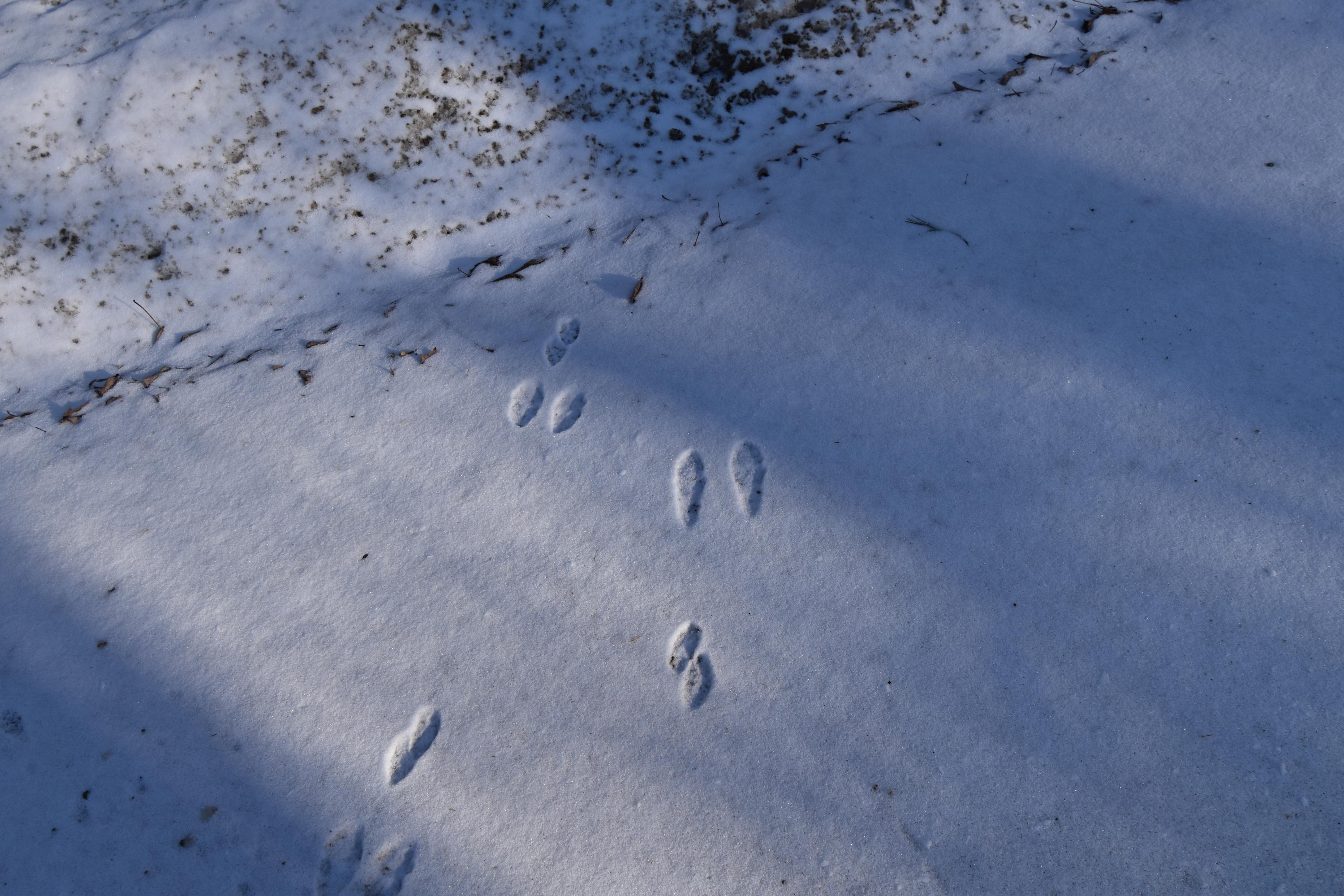 360 Watson Heights Road Kents Hill, ME 04349 - Photo 72 of 77 DSC_0370