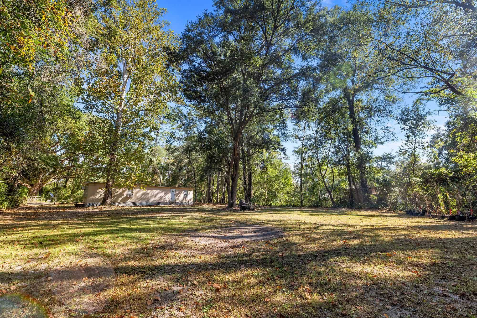 159 Notre Dame Monticello, FL 32344 - Photo 4 of 13