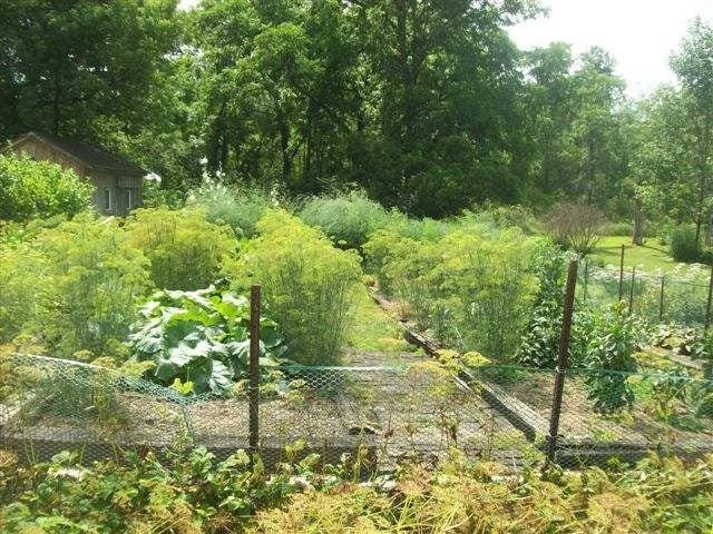 305 Akeley Road Russell, PA 16345 - Photo 7 of 33 Gallery Image 7