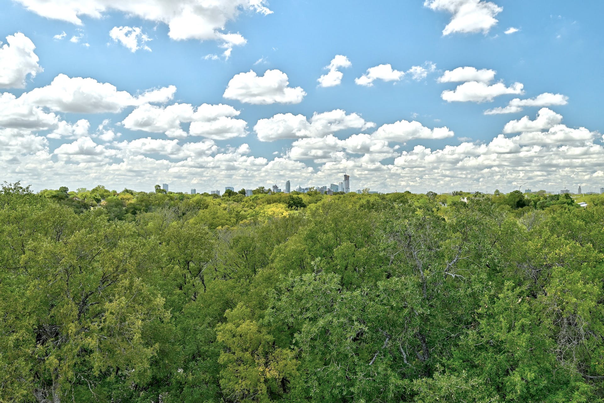 3406 East 17th Street, Unit 5 Austin, TX 78721 - Photo 17 of 17