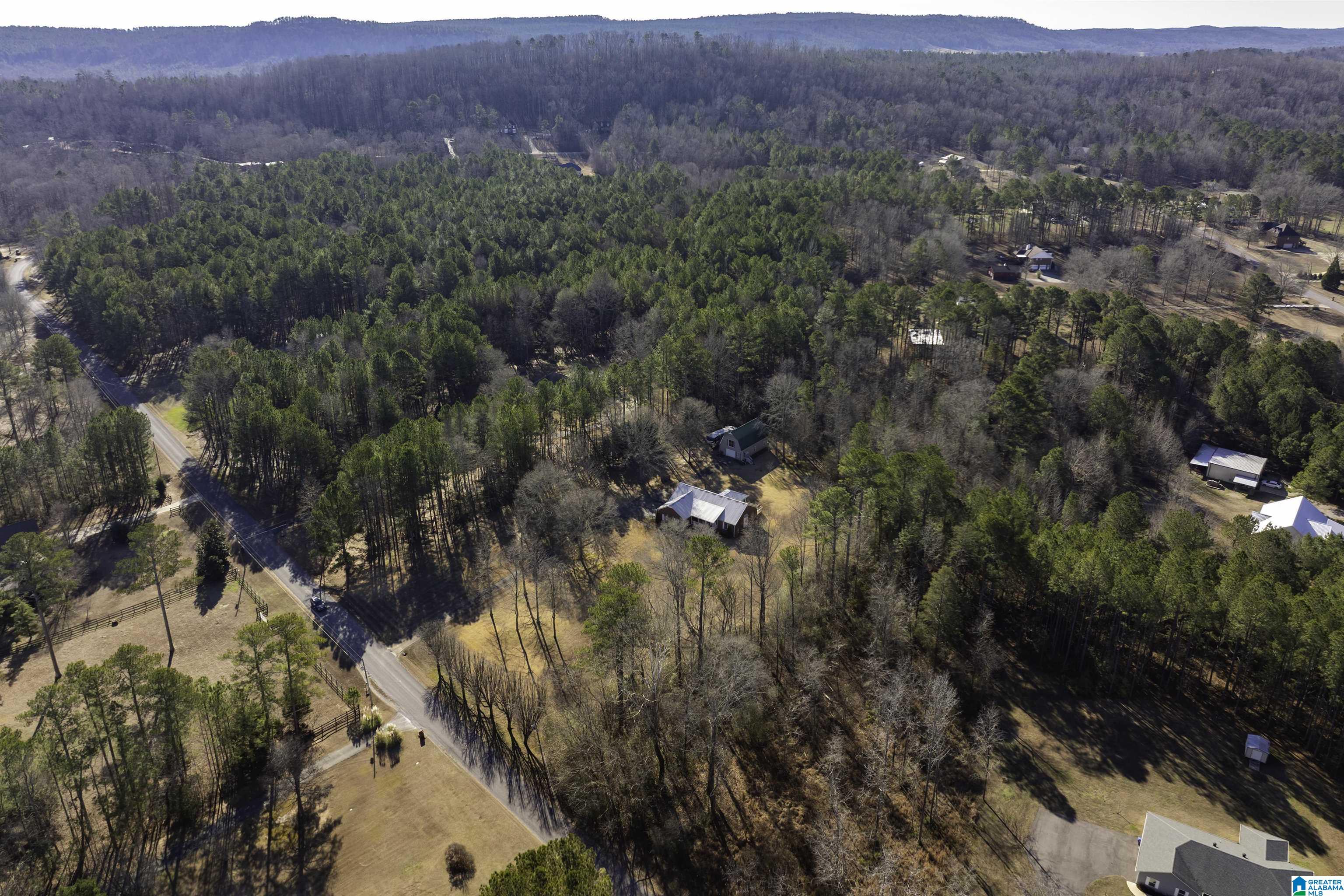 1115 Beaver Ridge Circle Ashville, AL 35953 - Photo 35 of 42 Gallery Image 35