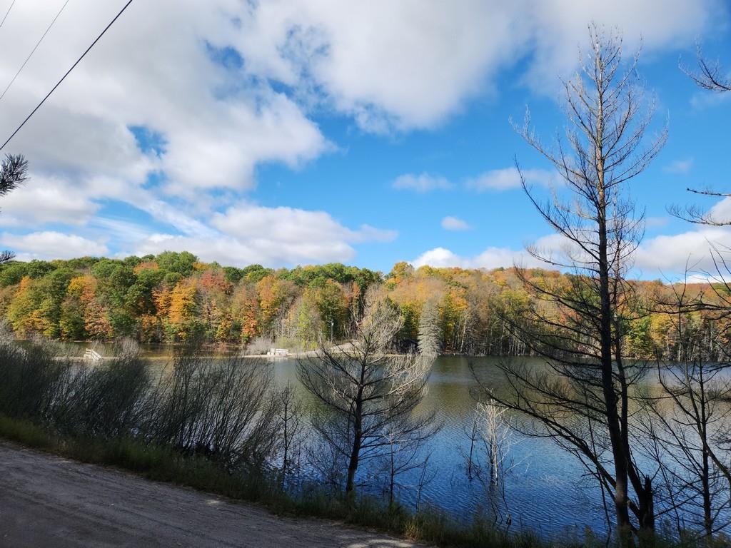 Waterfront Parmater Road Gaylord, MI 49735 - Photo 4 of 11
