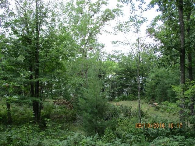 9802 Bolger Lake Road Minocqua, WI 54548 - Photo 18 of 20 Gallery Image 18