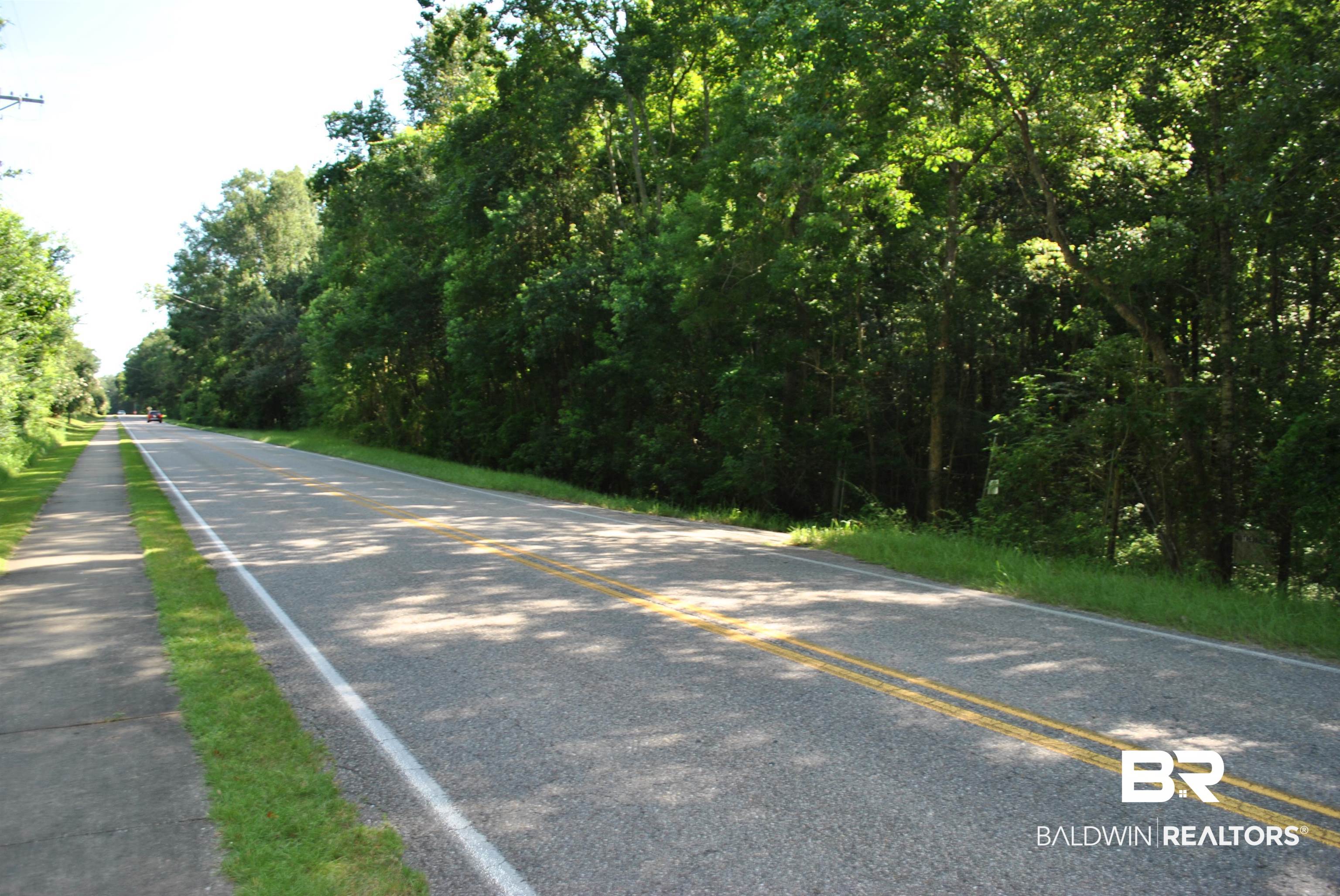 0 Boothe Road Fairhope, AL 36532 - Photo 5 of 7 View of asphalt road with a forest view