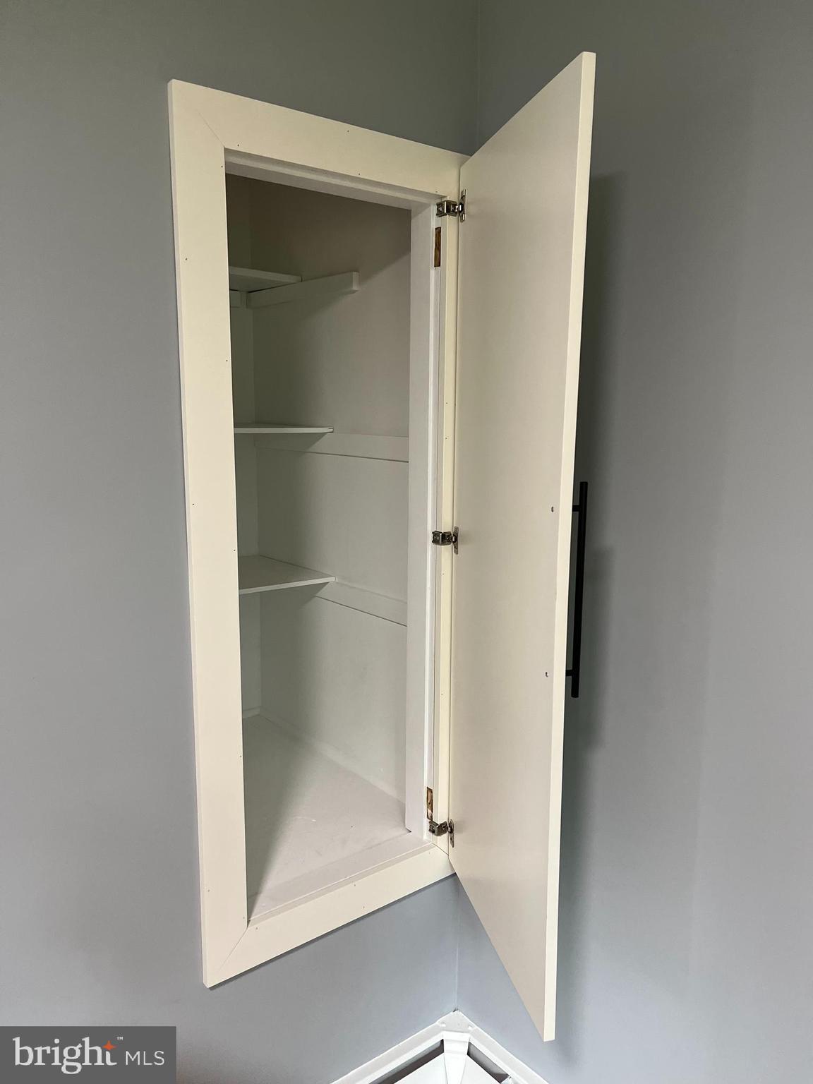 910 Spring City Road Phoenixville, PA 19460 - Photo 11 of 35 Large Pantry Closet