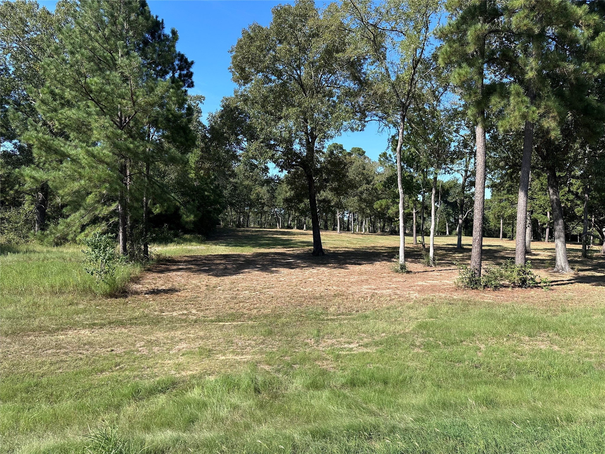 5.3-ac Tbd Spring Branch Road Montgomery, TX 77316 - Photo 11 of 32 Gallery Image 11
