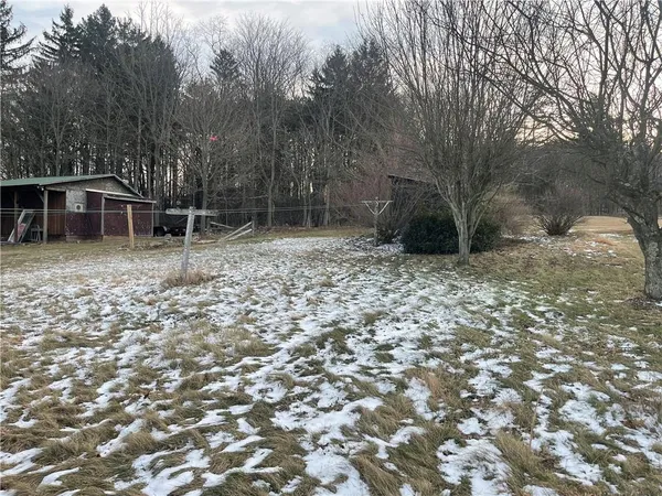 a backyard of a house with lots of green space