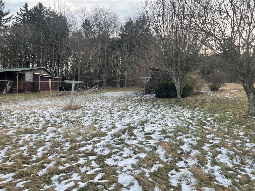 25 Gay Street Salisbury, PA 15558 - Photo 5 of 13 a backyard of a house with lots of green space