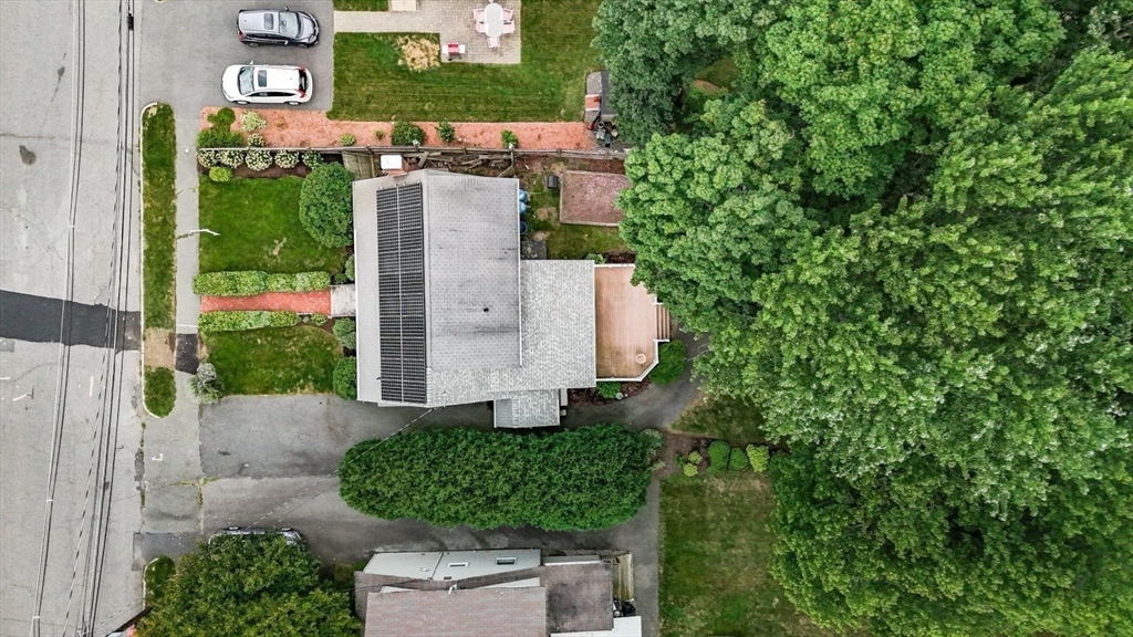 17 Harrington Road Waltham, MA 02452 - Photo 33 of 38