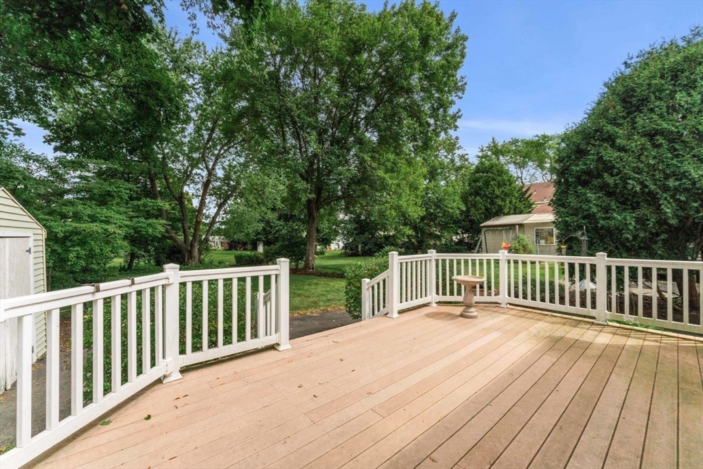 17 Harrington Road Waltham, MA 02452 - Photo 6 of 38