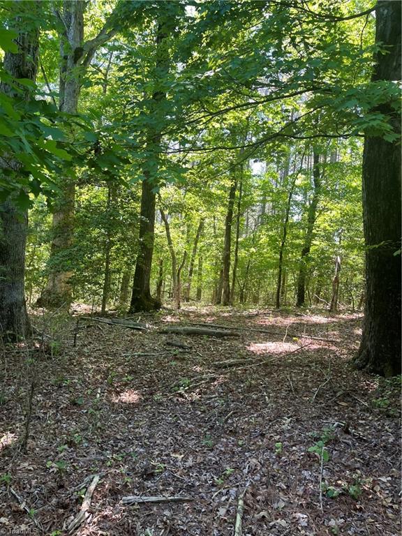 0 Palmer Road Germanton, NC 27019 - Photo 1 of 3