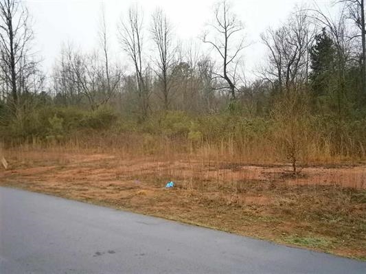 234-236 West Reedy Fork Road Seneca, SC 29678 - Photo 1 of 4 Gallery Image 1