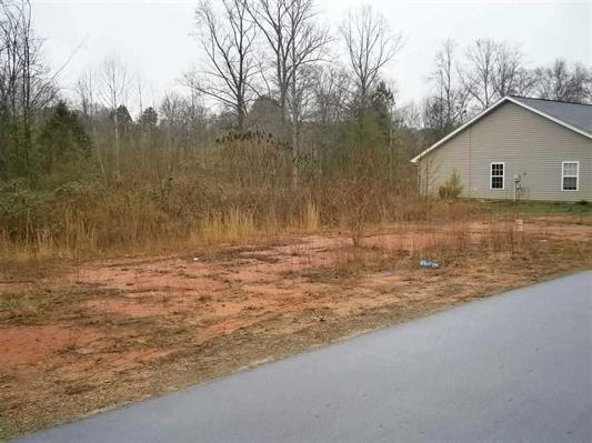 234-236 West Reedy Fork Road Seneca, SC 29678 - Photo 3 of 4 Gallery Image 3