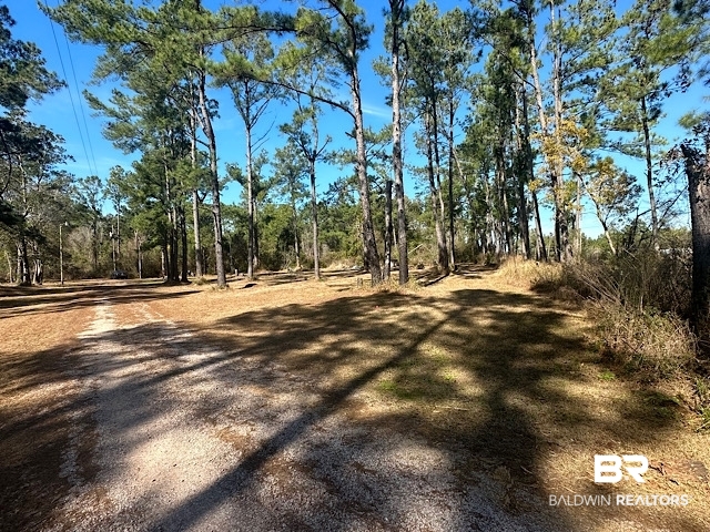 17245 County Road 87 Elberta, AL 36530 - Photo 2 of 11