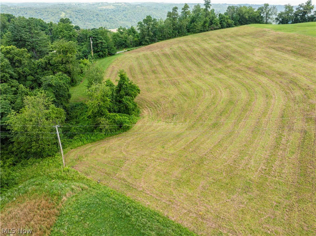 50109 Sykes Ridge Road Clarington, OH 43915 - Photo 21 of 39