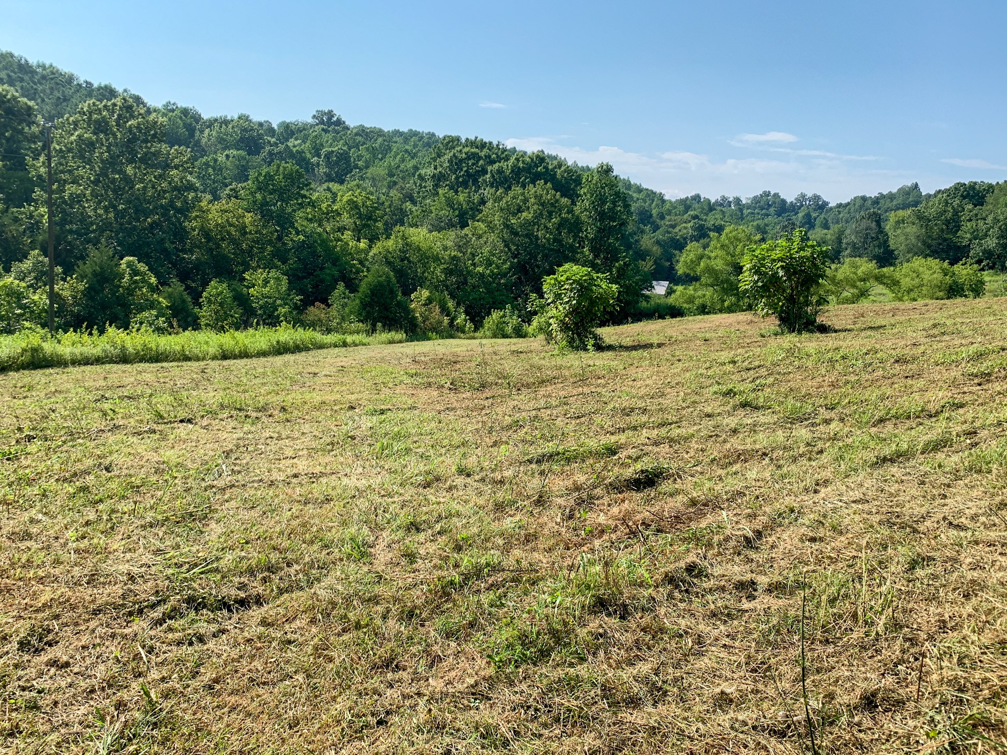 183 Robinson Road Fayetteville, TN 37334 - Photo 13 of 64 Gallery Image 13