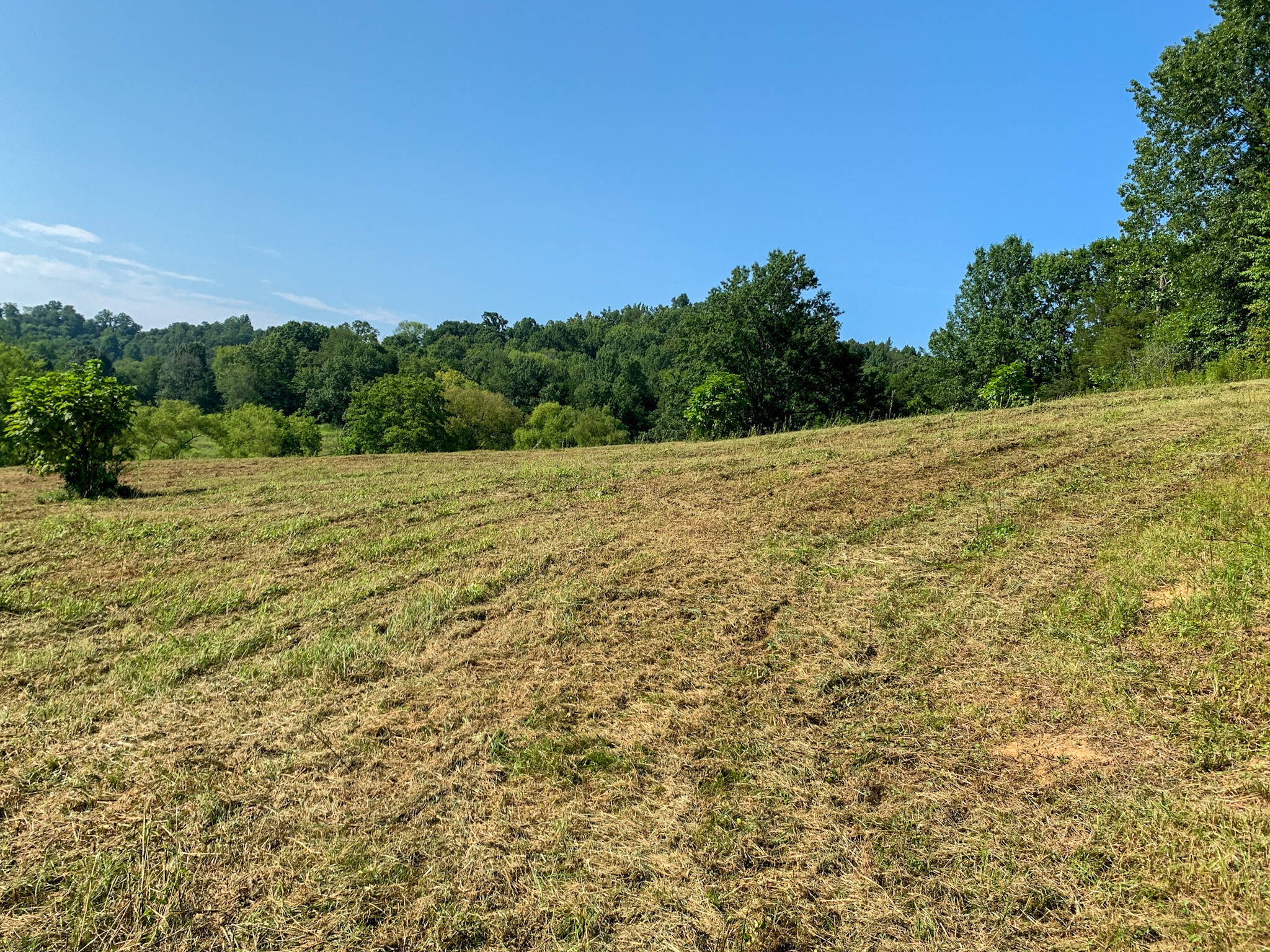 183 Robinson Road Fayetteville, TN 37334 - Photo 15 of 64 Gallery Image 15
