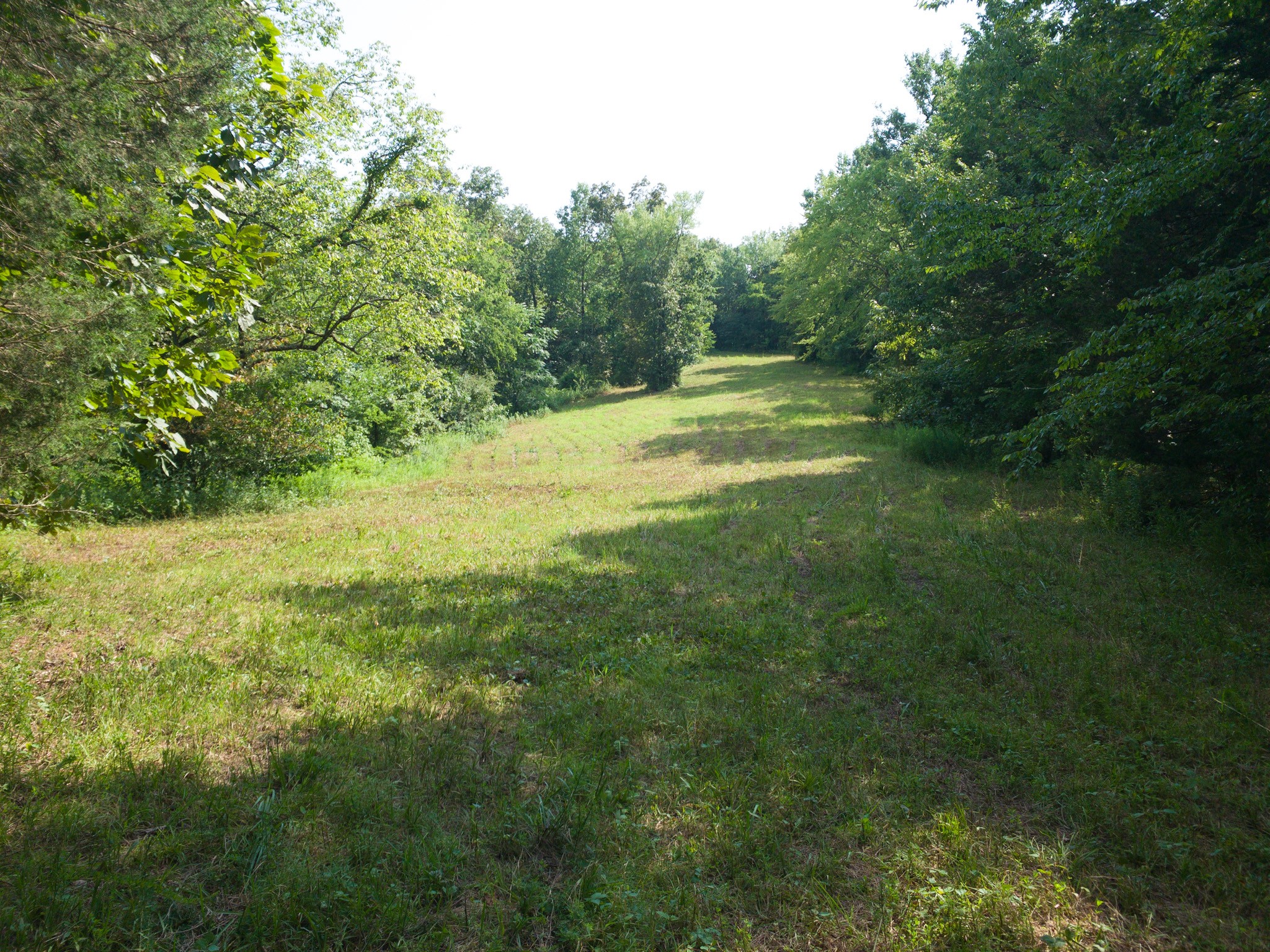 183 Robinson Road Fayetteville, TN 37334 - Photo 16 of 64 Gallery Image 16