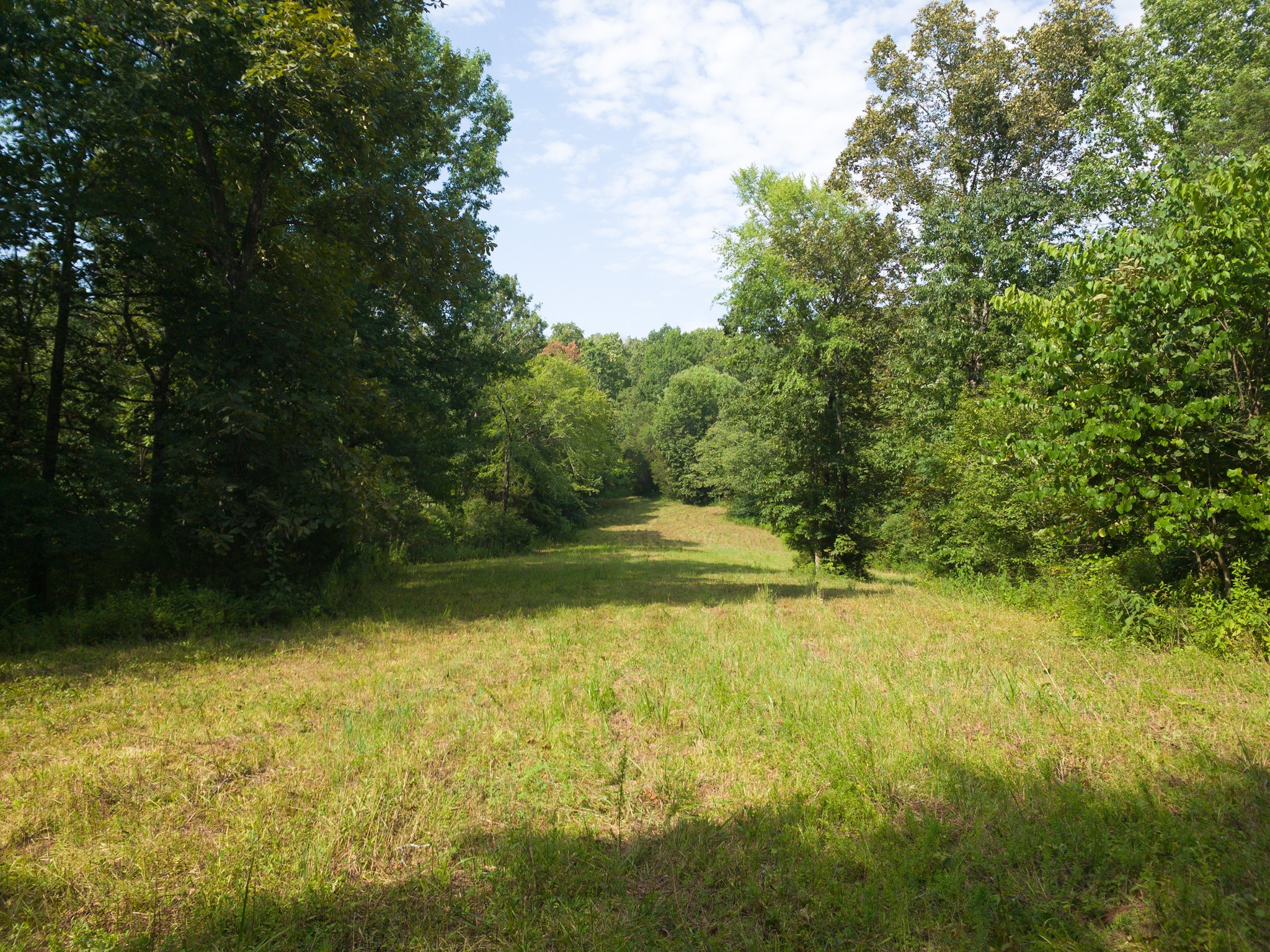 183 Robinson Road Fayetteville, TN 37334 - Photo 17 of 64 Gallery Image 17