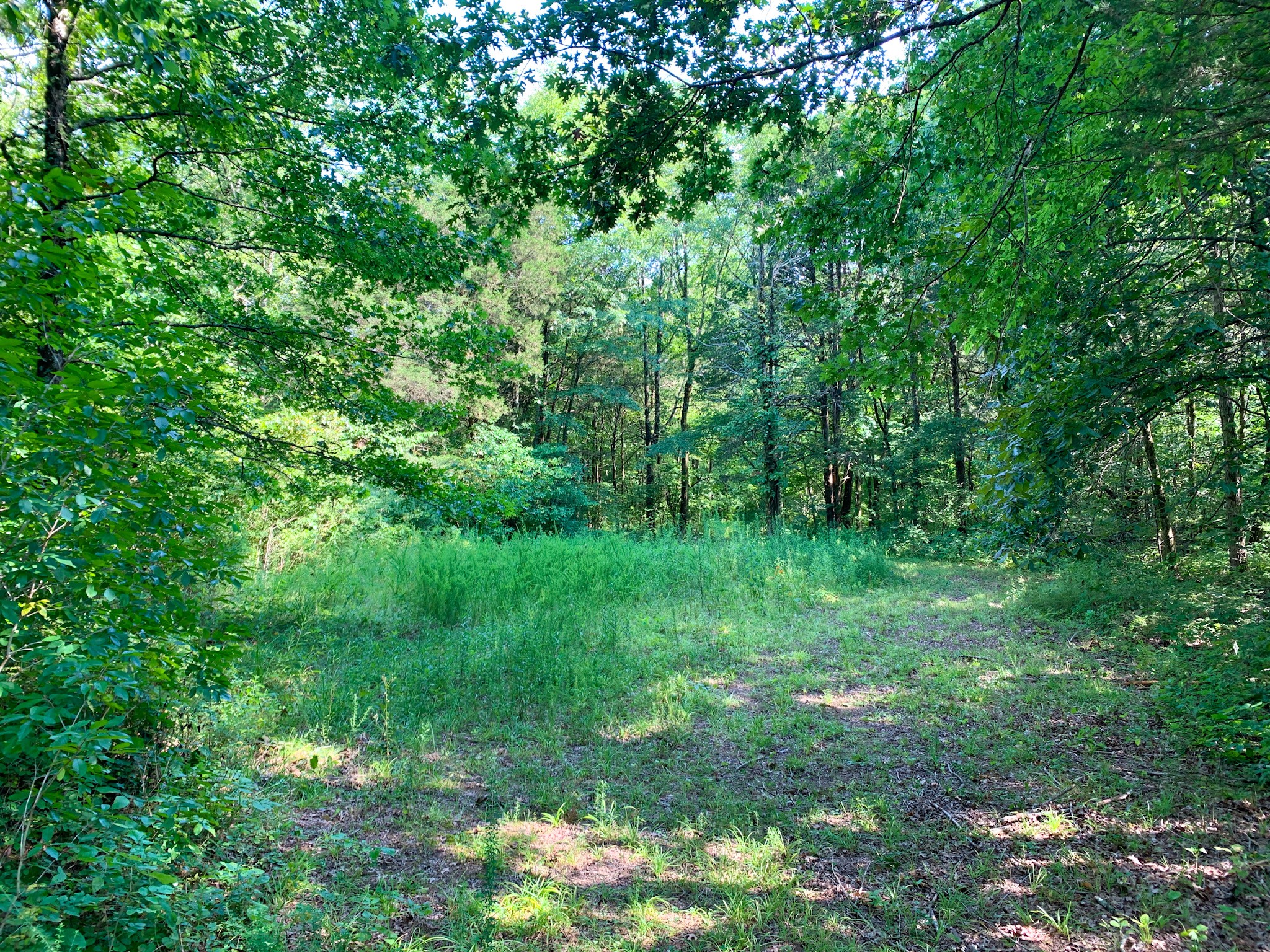 183 Robinson Road Fayetteville, TN 37334 - Photo 21 of 64 Gallery Image 21