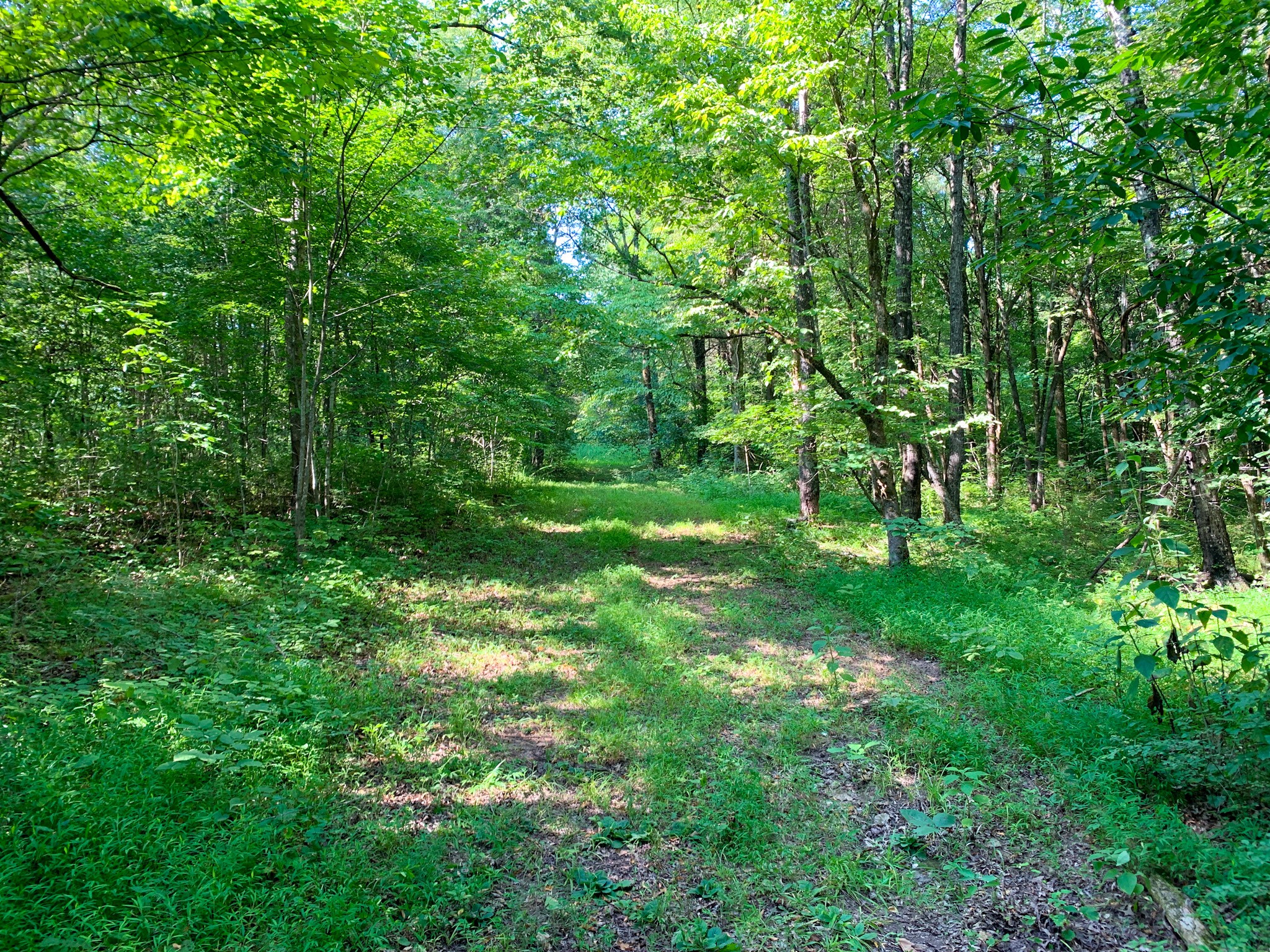 183 Robinson Road Fayetteville, TN 37334 - Photo 24 of 64 Gallery Image 24