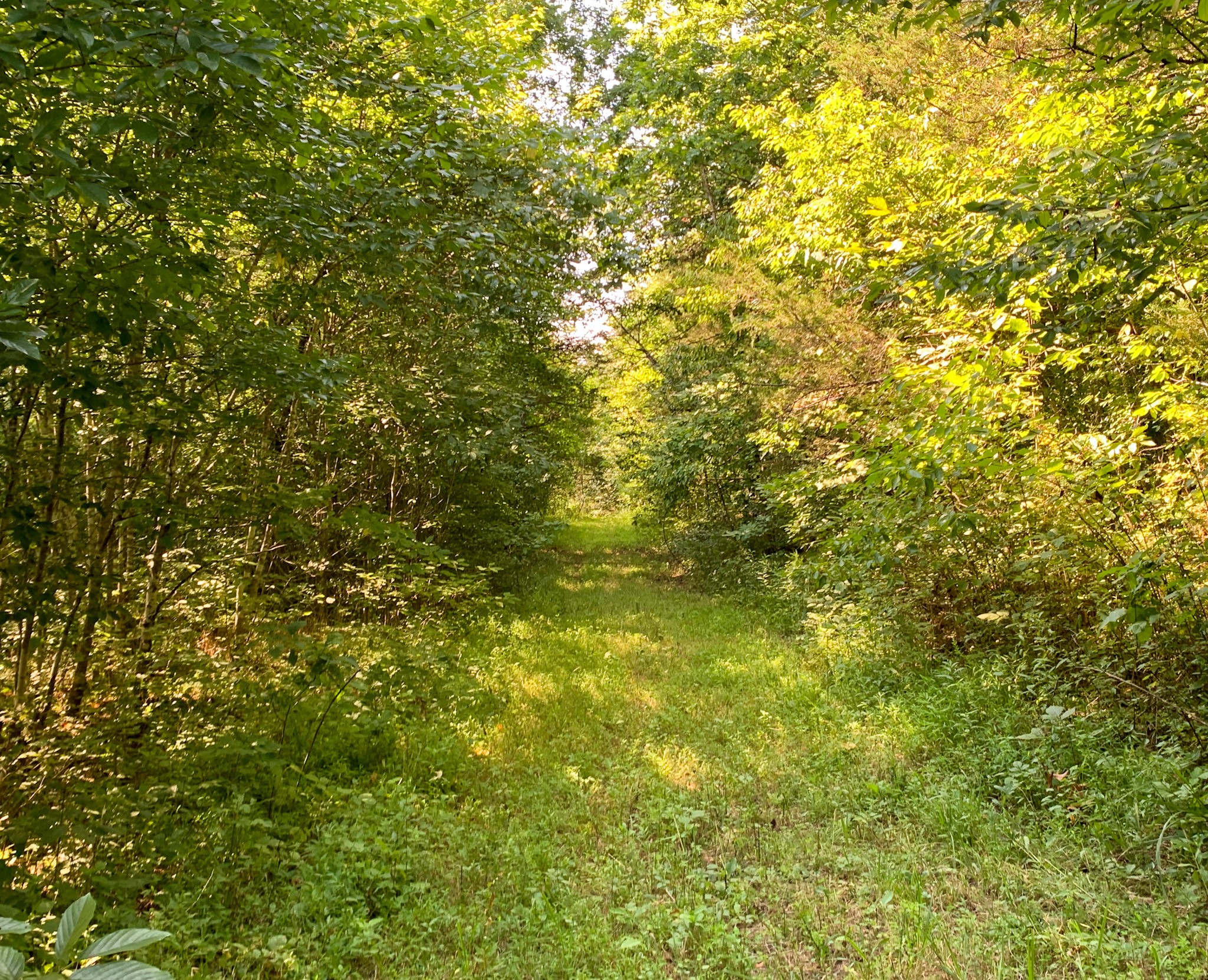 183 Robinson Road Fayetteville, TN 37334 - Photo 25 of 64 Gallery Image 25
