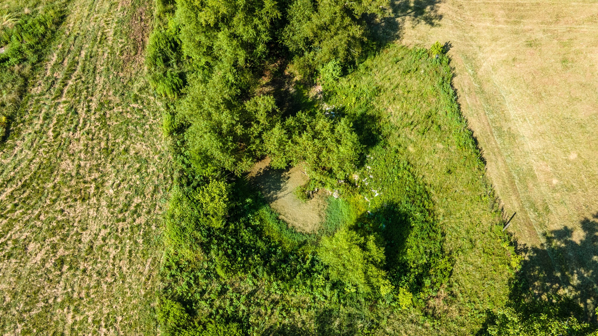 183 Robinson Road Fayetteville, TN 37334 - Photo 51 of 64 Gallery Image 51