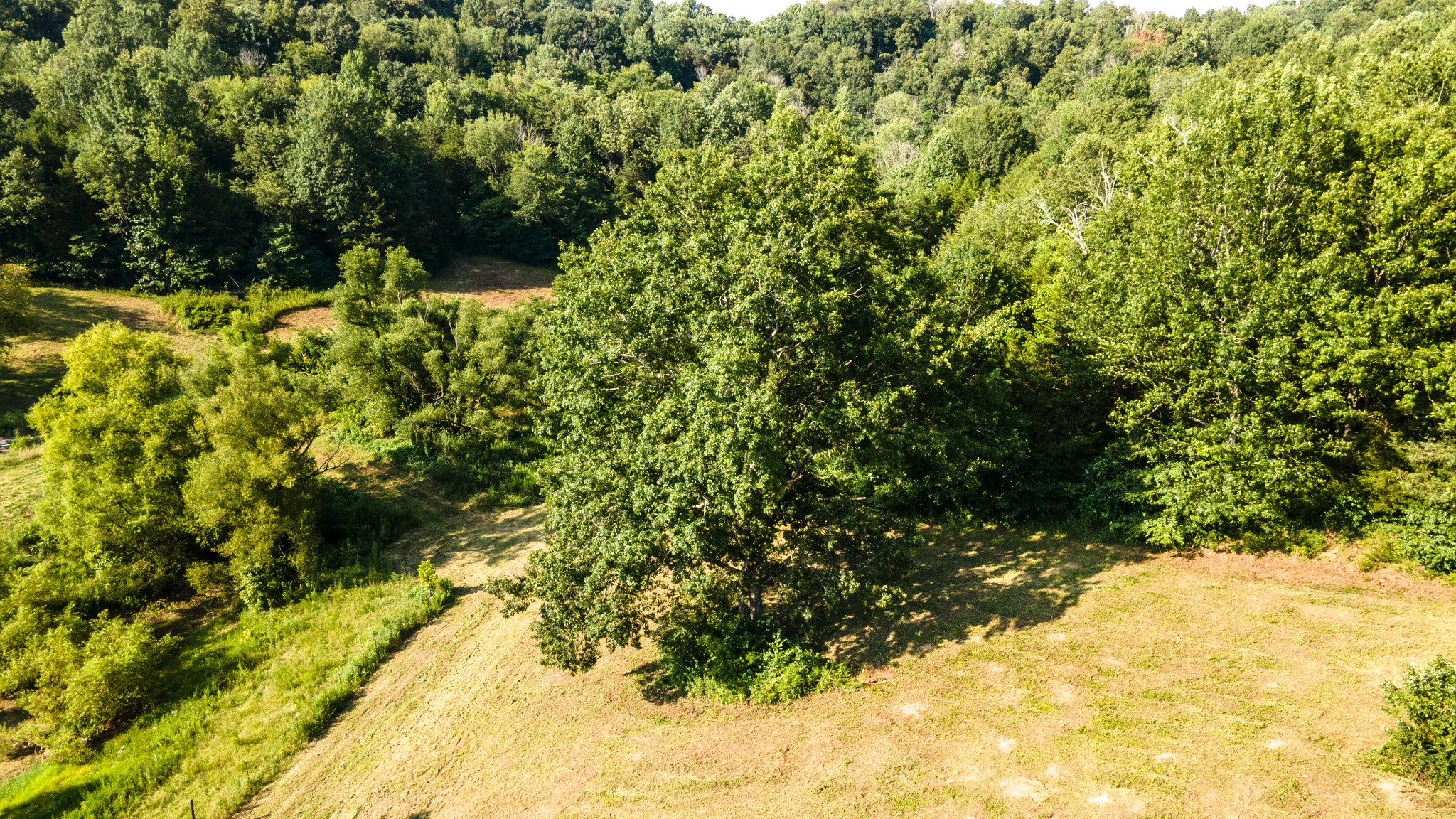 183 Robinson Road Fayetteville, TN 37334 - Photo 52 of 64 Gallery Image 52