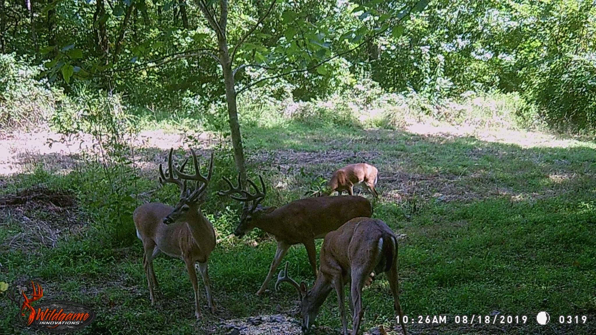 183 Robinson Road Fayetteville, TN 37334 - Photo 59 of 64 Gallery Image 59