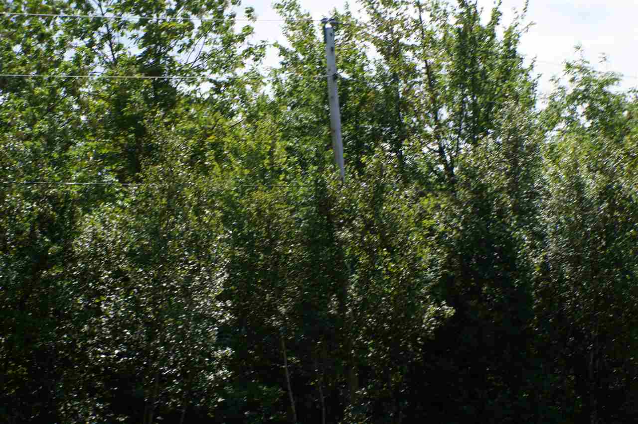 302 Heath Brook Road Groton, VT 05046 - Photo 11 of 13 Gallery Image 11